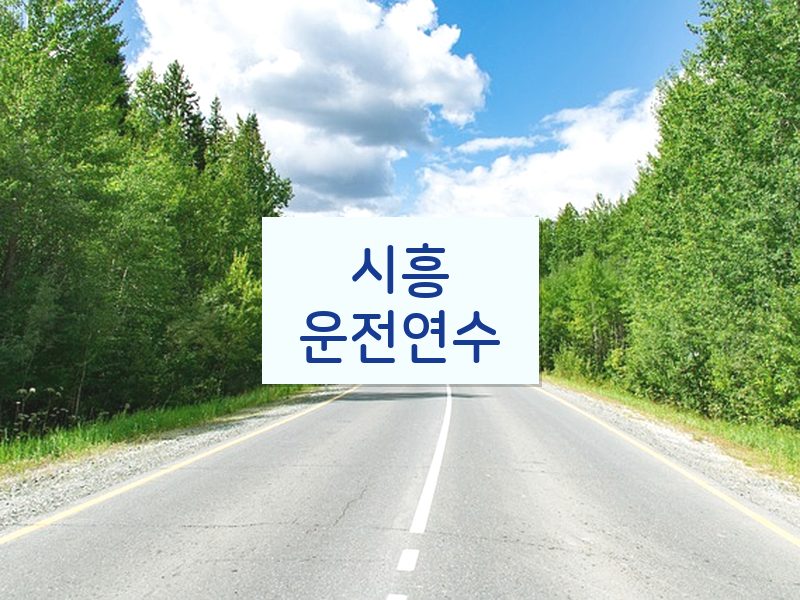 시흥운전연수 후기