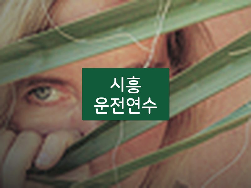 시흥운전연수 후기