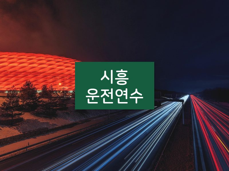 시흥운전연수 후기