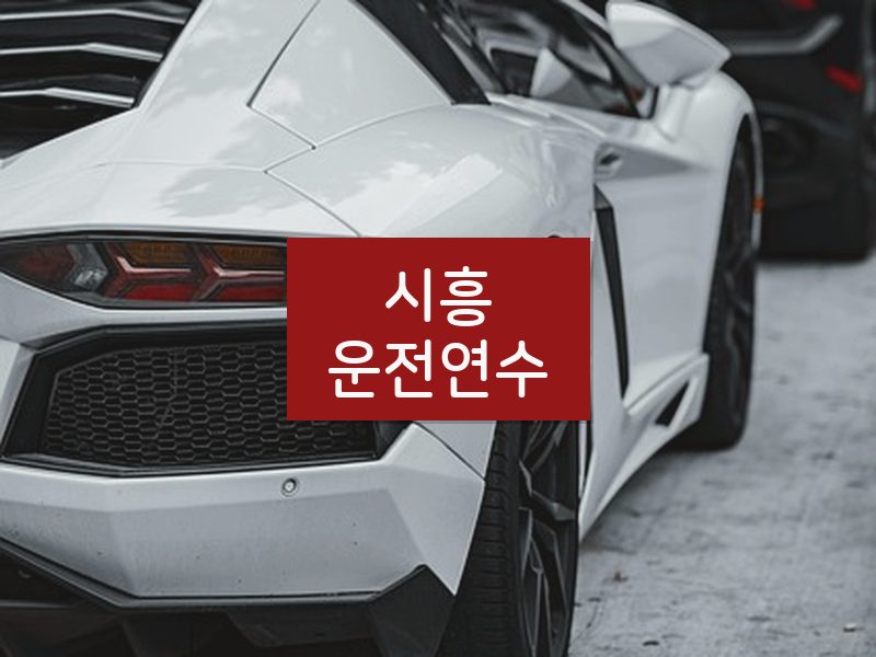 시흥운전연수 후기