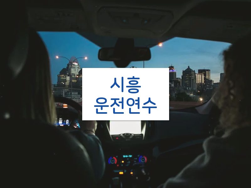 시흥운전연수 후기