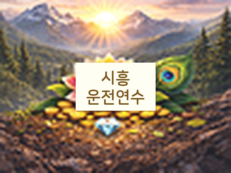 시흥운전연수 후기