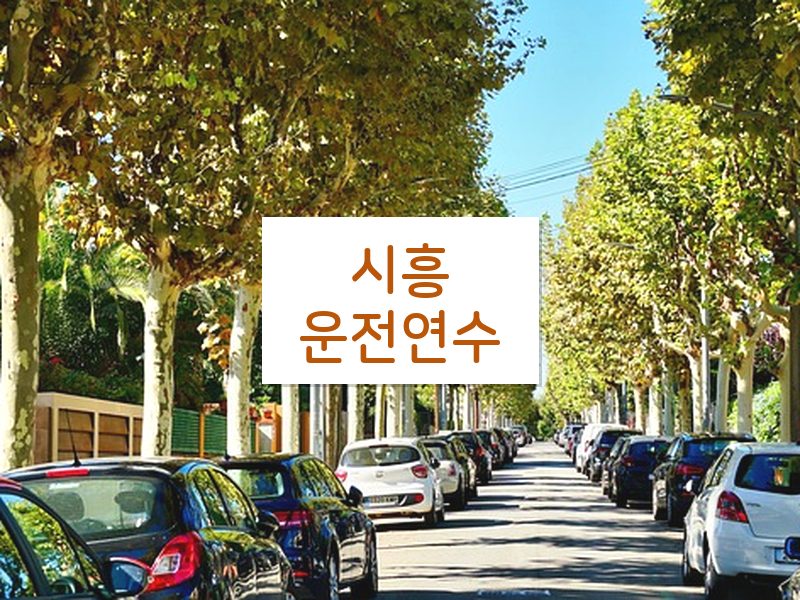 시흥운전연수 후기