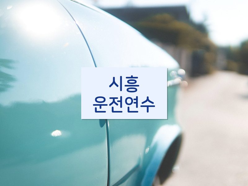시흥운전연수 후기
