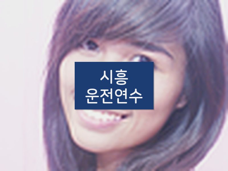 시흥운전연수 후기