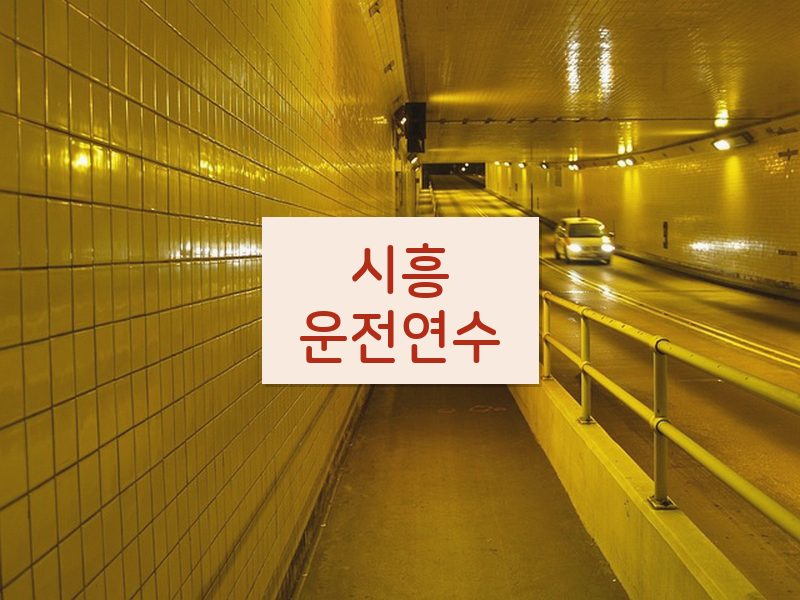 시흥운전연수 후기