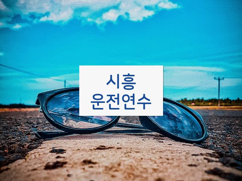 시흥운전연수 후기