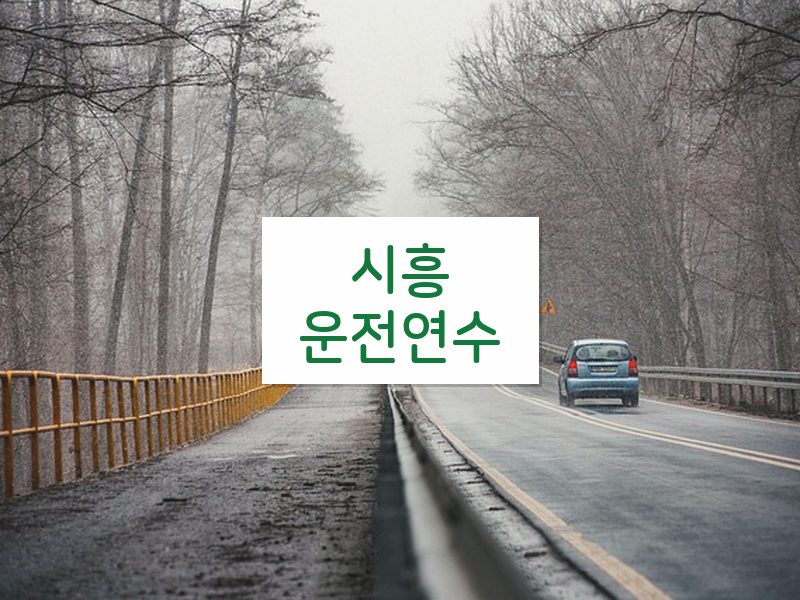 시흥운전연수 후기