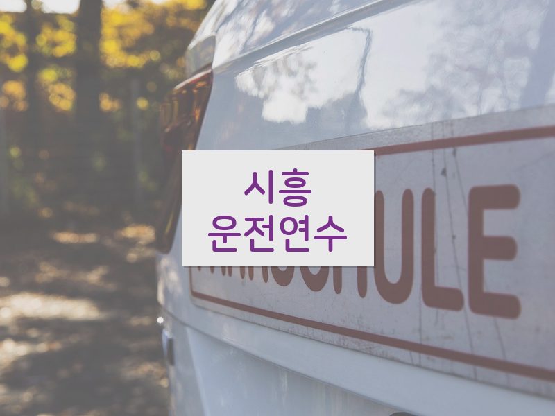 시흥운전연수 후기
