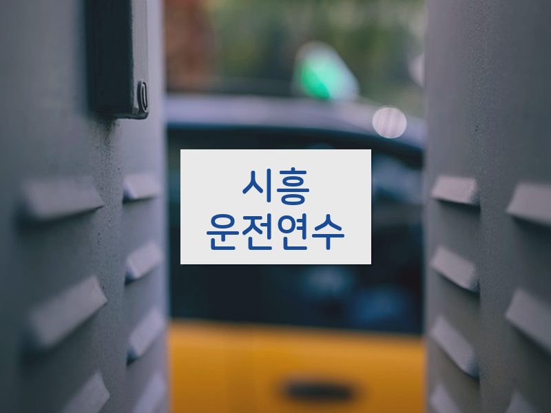 시흥운전연수 후기