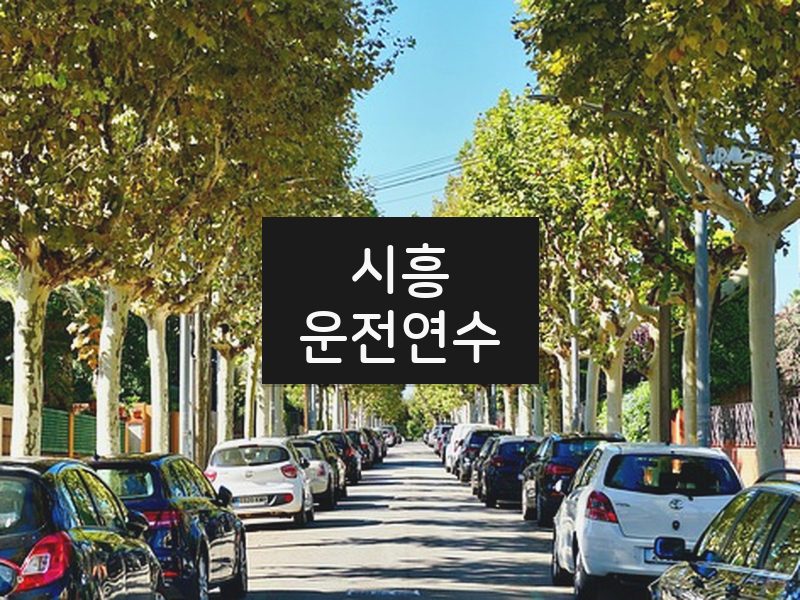 시흥운전연수 후기