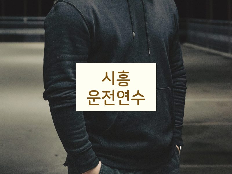 시흥운전연수 후기