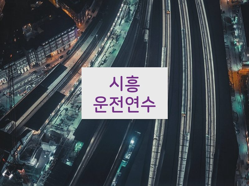 시흥운전연수 후기