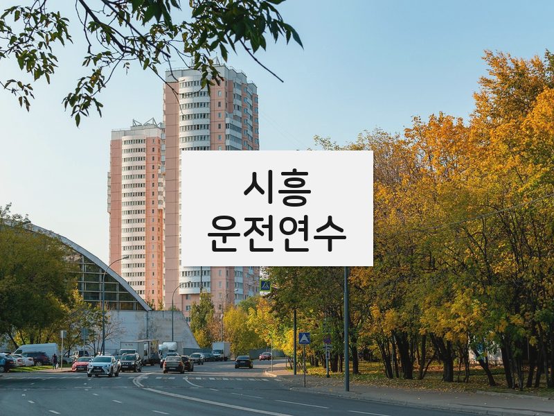 시흥운전연수 후기