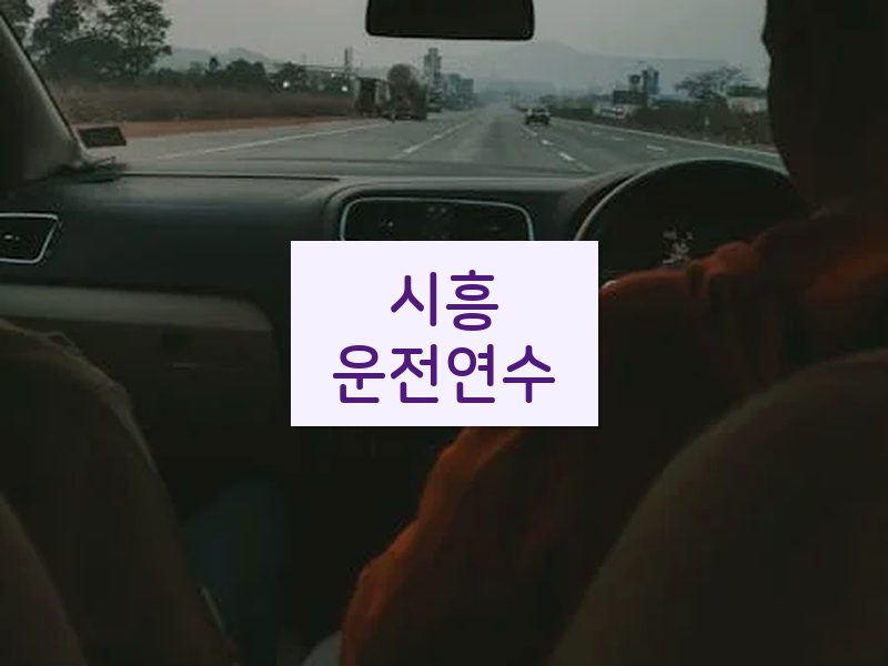 시흥운전연수 후기