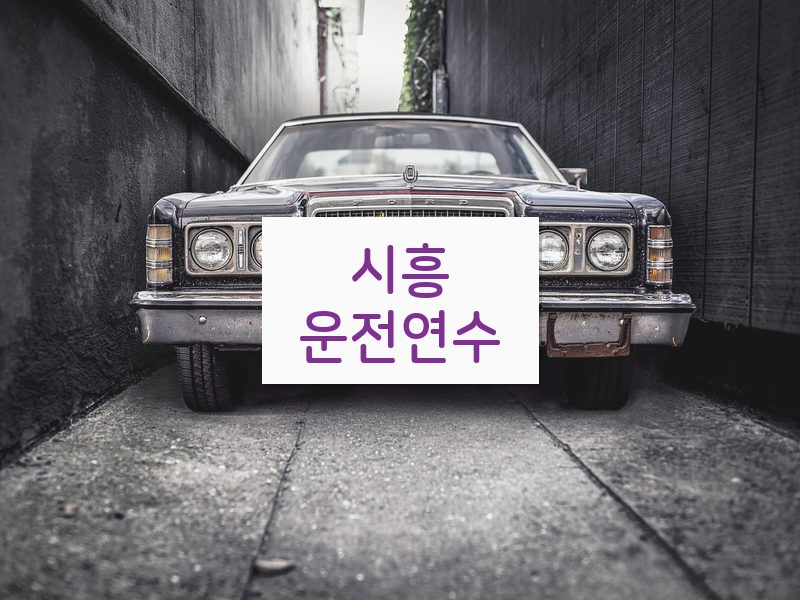 시흥운전연수 후기