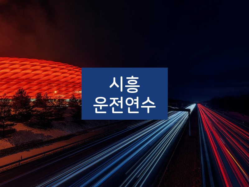 시흥운전연수 후기