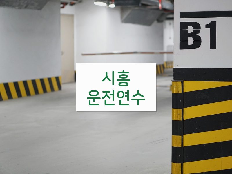 시흥운전연수 후기