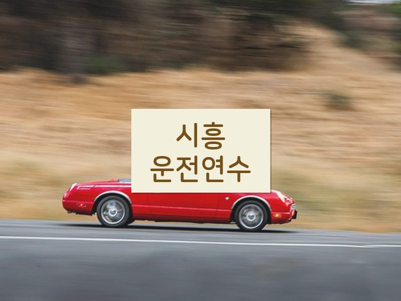 시흥운전연수 후기