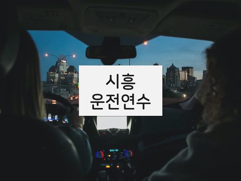 시흥운전연수 후기