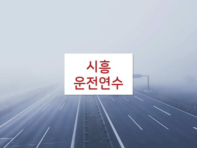시흥운전연수 후기