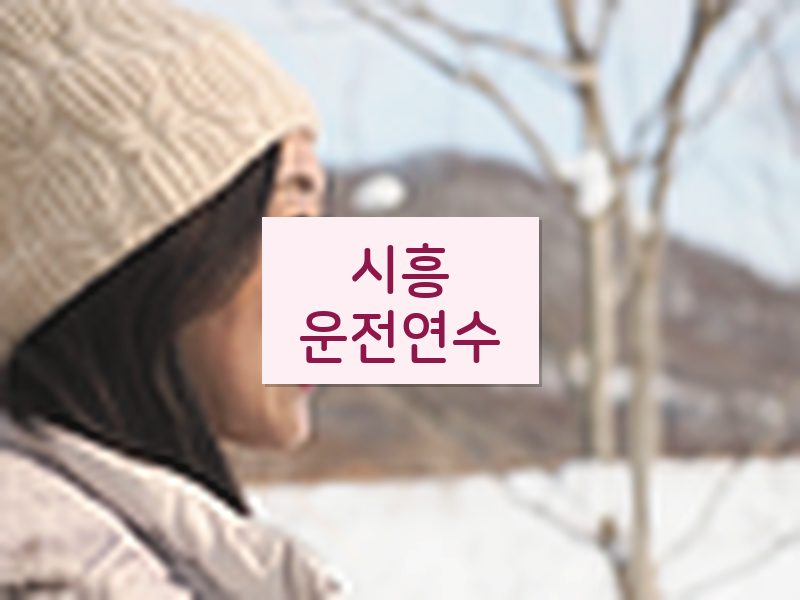 시흥운전연수 후기