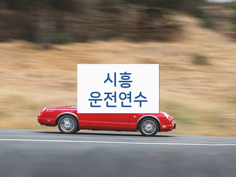 시흥운전연수 후기