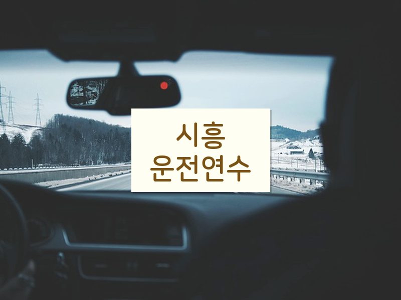 시흥운전연수 후기