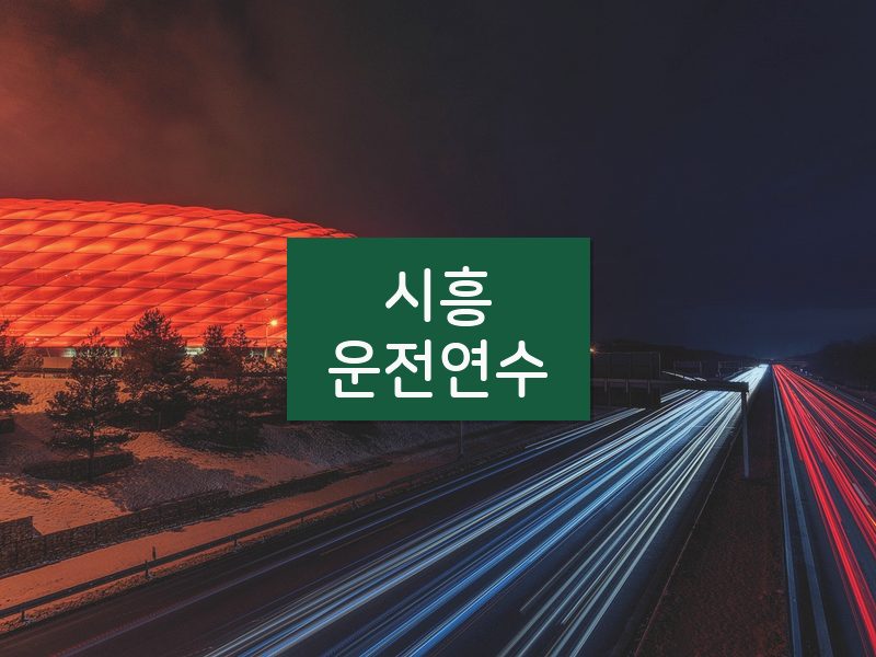시흥운전연수 후기
