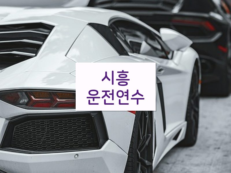 시흥운전연수 후기