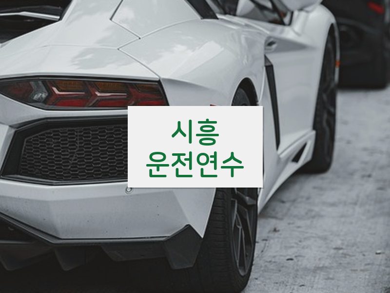 시흥운전연수 후기