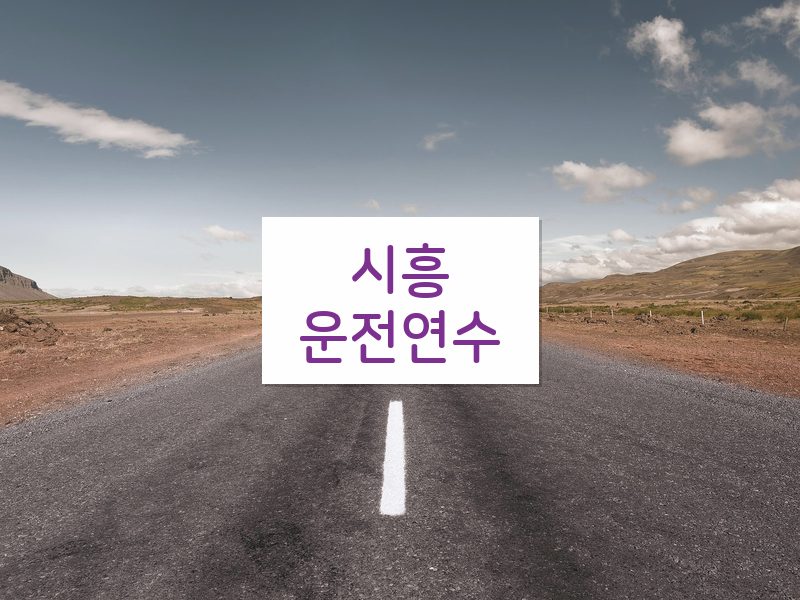 시흥운전연수 후기