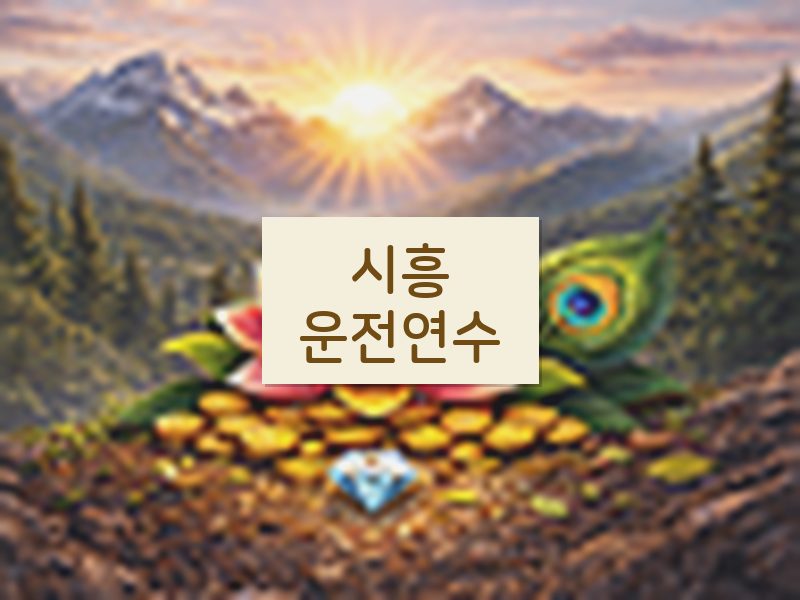 시흥운전연수 후기