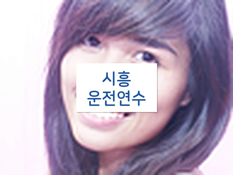 시흥운전연수 후기