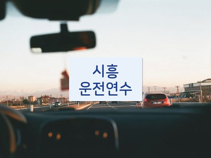 시흥운전연수 후기