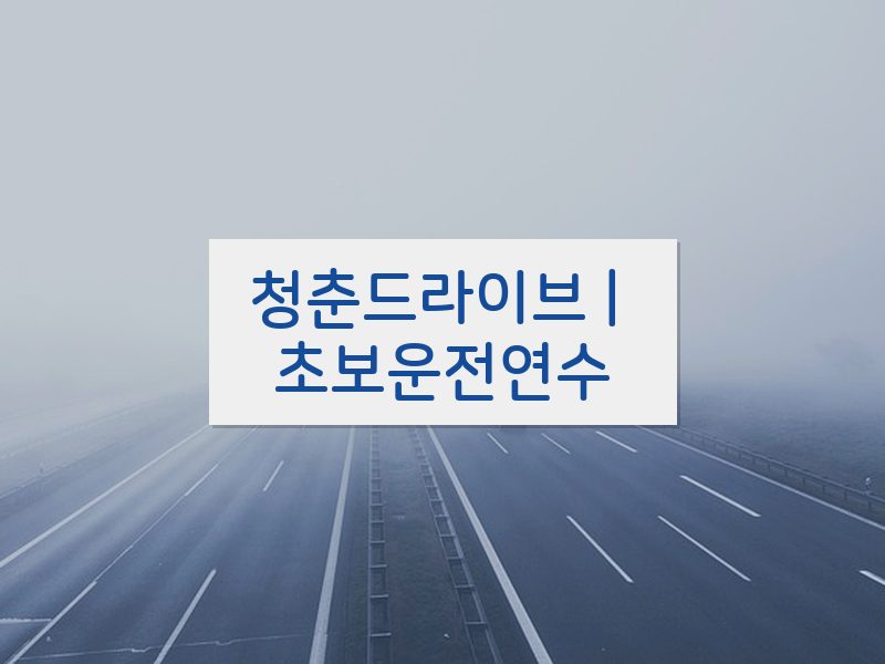 청춘드라이브 | 초보운전연수 후기