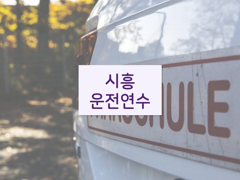 시흥운전연수 후기