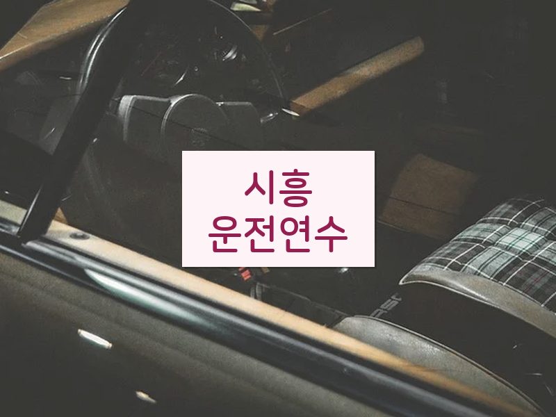 시흥운전연수 후기
