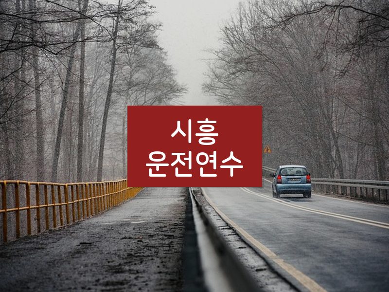 시흥운전연수 후기