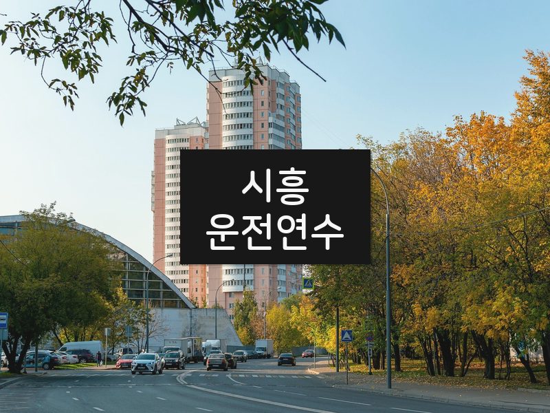 시흥운전연수 후기