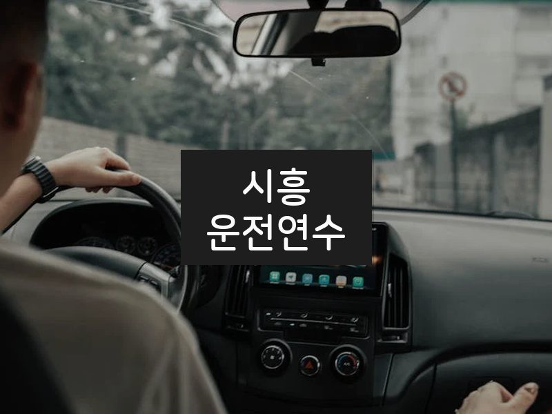 시흥운전연수 후기