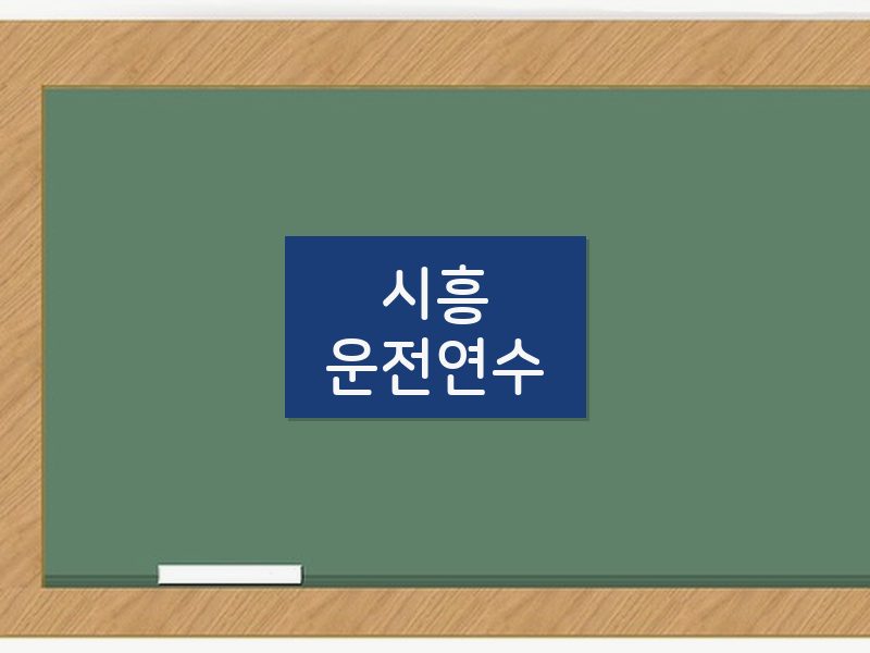 시흥운전연수 후기
