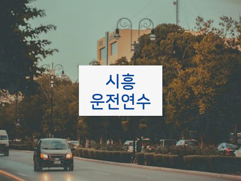 시흥운전연수 후기