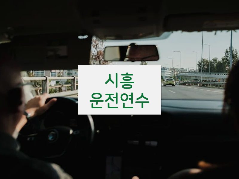 시흥운전연수 후기