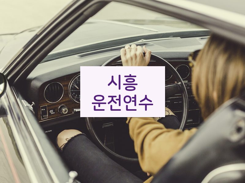 시흥운전연수 후기