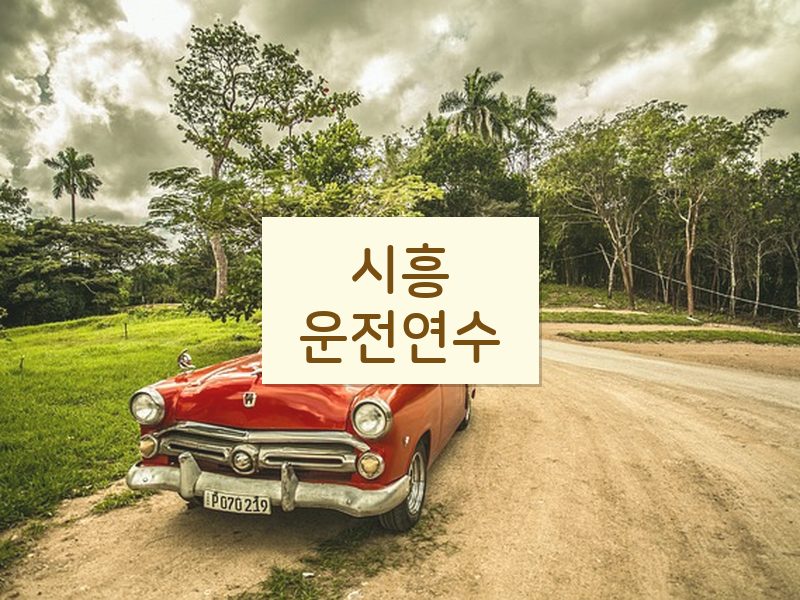 시흥운전연수 후기