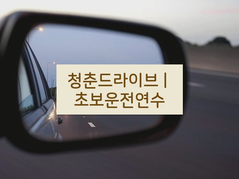 청춘드라이브 | 초보운전연수 후기