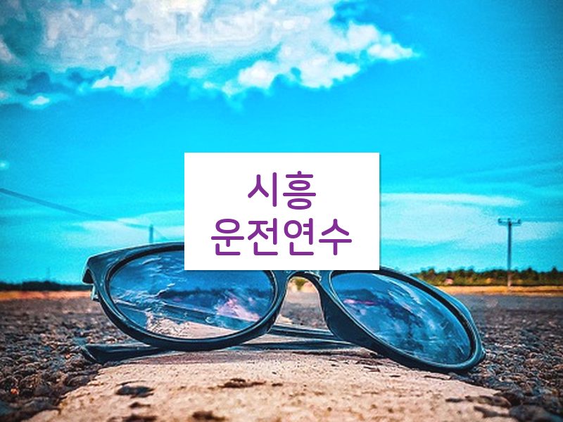 시흥운전연수 후기