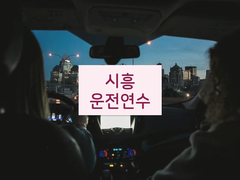 시흥운전연수 후기