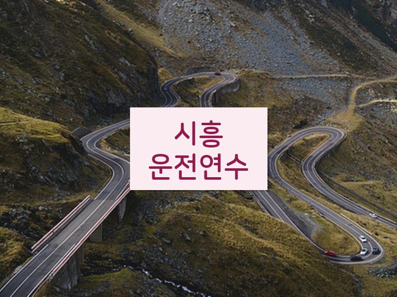 시흥운전연수 후기